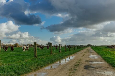 Farm Road Repairs Finglas D11