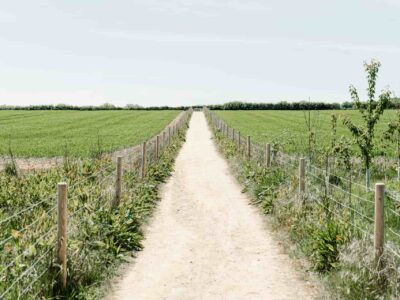 Farm road construction company near me Clontarf