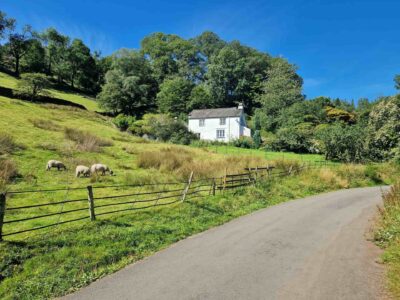 Old farm road Donabate